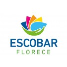 Municipalidad de Escobar
