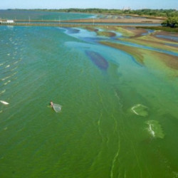 Contaminación. Se aprobó un fallo judicial en defensa del Río de La Plata