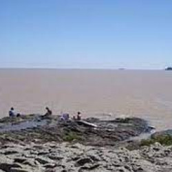 El Río de la Plata demanda un plan de saneamiento integral de sus aguas.