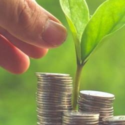 Bonos Verdes: el gran valor de invertir en proyectos sustentables