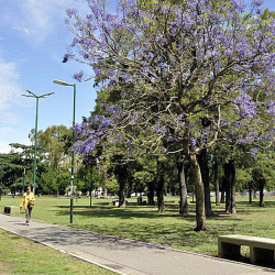 El GCBA confirma que el Banco Mundial no financiará obras en el Parque Saavedra, pero se hará la plaza de Vilela y Melián