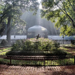 El Jardín Botánico fue declarado como el primer refugio climático de la Ciudad