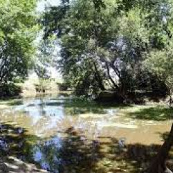 La Justicia frenó obras previstas para el humedal del arroyo El Pescado