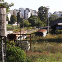 Tierras públicas en remate: el nuevo plan de Javier Milei para dejar tierra arrasada en el Estado