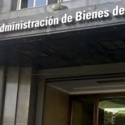 Venta de bienes públicos