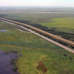 Preocupación por la situación de los humedales del Delta ante la inmensa construcción de diques