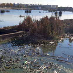 Contaminación y desidia en Soldati
