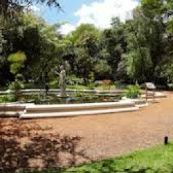 La historia del Jardín Botánico, uno de los pulmones verdes porteños pensado para conservar especies vegetales y aportar belleza