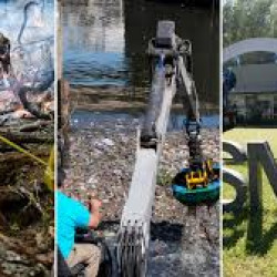 Una ONG aseguró que el Gobierno recortó hasta el 80% de fondos en áreas de política ambiental