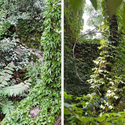 No se subastó el terreno de Acuña de Figueroa 981, donde vecinos pedían una reserva ecológica: en AABE no descartan un nuevo remate