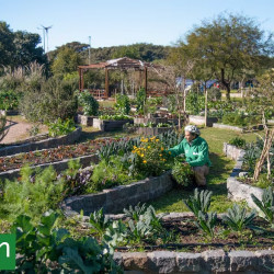 En Villa Soldati, un paseo ambiental enseña a cuidar el planeta