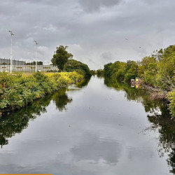 Parque del Arroyo Medrano: entre la urgencia ambiental y el avance del negocio inmobiliario sobre la ribera