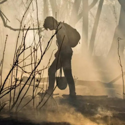 El Día Mundial de los Humedales le recuerda a Argentina el trabajo que aún queda por hacer