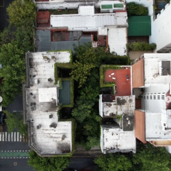Vecinos de Almagro piden frenar la subasta de un baldío selvático y convertirlo en espacio verde