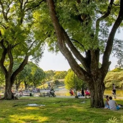 Un nuevo pulmón verde en la ciudad: así será el parque de más de 15.000 metros cuadrados