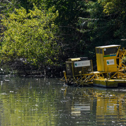 La desembocadura del arroyo Medrano y el futuro de la ribera porteña