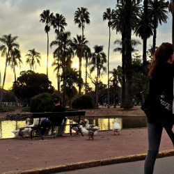 La Ciudad impulsa una inversión privada de US$ 4,6 millones para sumar cafés, Wi-Fi y baños en parques y plazas