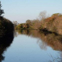 Proponen crear el Parque del Arroyo Medrano en Núñez y reavivan el debate sobre el arroyo entubado bajo Saavedra
