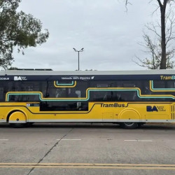 Cambios en el tránsito de Caballito por el Trambus: dos importantes avenidas porteñas cambiarán de sentido