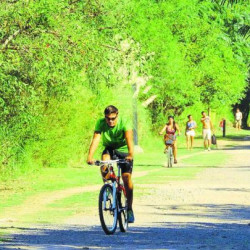 Todo verde: reservas naturales a orillas del Río de la Plata